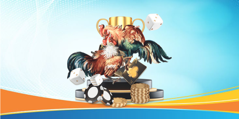 Các Môn Đá Gà Có Sẵn Trên 55win